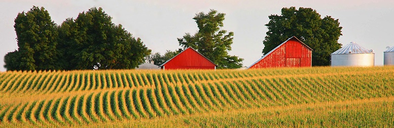 adifo growth 2016 overview