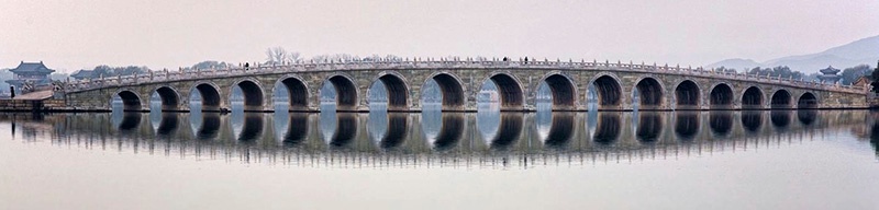 chinese feed industry seminar