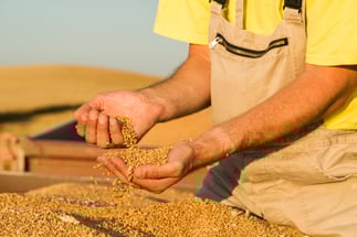 Farmer_Grain